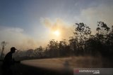 Sejumlah petugas berusaha memadamkan api yang membakar lahan gambut di Desa Peulanteun, Kecamatan Bubon, Aceh Barat, Aceh, Sabtu (3/8/2019). Menurut keterangan Kepala Badan Penanggulangan Bencana Daerah (BPBD) Kabupaten Aceh Barat Mukhtaruddin menjelaskan, Kebakaran Hutan dan Lahan (Karhutla) yang terjadi di tiga Desa di Kecamatan Bubon, terus meluas dari 33,5 hektar menjadi 50 hektar akibat terkendala akses menuju lokasi kebakaran. (Antara Aceh/Syifa Yulinnas)