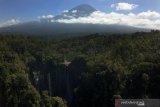 Panorama Kawasan Air Terjun Tumpak Sewu dengan latar Gunung Semeru di Lumajang, Jawa Timur, Minggu (4/8/2019). Air Terjun Tumpak Sewu merupakan air terjun yang berketinggian sekitar 120 meter yang berada di perbatasan Lumajang dengan Malang. Antara Jatim/Zabur Karuru