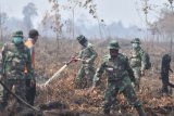 Prajurit TNI dan Petugas Badan Penanggulangan Bencana Daerah (BPBD) Muarojambi melakukan pendinginan di bekas lokasi lahan gambut yang terbakar, Kumpeh Ulu, Muarojambi, Jambi, Sabtu (3/8/2019). Kumpeh Ulu, Muarojambi yang berada di lahan gambut dengan kedalaman antara 1-3 meter merupakan areal terparah terkena dampak kebakaran di provinsi itu dengan luasan terbakar mencapai 50 hektare lebih dalam sepekan terakhir dan menjadi prioritas pemadaman darat dan dukungan pemadaman udara dari helikopter bantuan Badan Nasional Penanggulangan Bencana (BNPB). ANTARA FOTO/Usman Muhammad/ws/hp