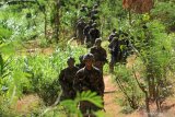 Prajurit Korps Marinir TNI AL bersama Marinir Amerika Serikat United States Marine Corps (USMC) berlatih penghancuran objek vital pada giat Latihan Bersama (Latma) Cooperation Afloat Readiness and Training (CARAT) 2019 di Hutan Selogiri, Banyuwangi, Jawa Timur, Senin (5/8/2019). Latihan bersama tersebut selain bertujuan untuk melatih kerjasama taktik pertempuran darat, juga untuk meningkatkan hubungan bilateral kedua negara, saling memahami dan memberi kontribusi positif untuk memperkuat hubungan Angkatan Laut. Antara Jatim/Budi Candra Setya/zk