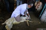 Konsumsi daging berlebih bisa menyebabkan sembelit