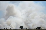 Areal lahan gambut yang terbakar di desa Rambutan, Ogan Ilir, Sumatera Selatan, Rabu (7/8/2019). Berdasarkan data BPBD Sumatera Selatan kebakaran hutan dan lahan di Sumatera Selatan mencapai 257,9 hektar. ANTARA FOTO/Ahmad Rizki Prabu/nym.