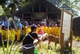 Dompet Dhuafa gandeng TK Khalifah Makassar mengenal dini hewan kurban