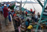 Sejumlah nelayan membongkar ikan dari kapal pada hari terakhir melaut menyambut perayaan tradisi Meugang Idul Adha 1440 Hijriyah di Pelabuhan Perikanan Samudera (PPS) Koetaraja, Lampulo, Banda Aceh, Aceh, Kamis (8/8/2019). Sebagian besar nelayan di Aceh saat ini mulai libur melaut karena menyambut perayaan tradisi meugang menjelang Hari Raya Idul Adha 1440 Hijriyah dan mereka biasanya akan kembali melaut setelah sepekan pascalebaran. (Antara Aceh/Ampelsa)