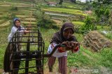 Petani menyeberangi bukit pegunungan menggunakan alat penyebrangan 