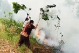 Puntung rokok pun bisa picu kebakaran lahan