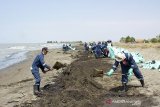 Petugas mengumpulkan tumpahan minyak mentah yang tercecer di Pesisir Pantai Mekarjaya, Karawang, Jawa Barat, Kamis (8/8/2019). PT. Pertamina mengklaim volume tumpahan minyak mentah yang tercecer akibat kebocoran gas di anjungan lepas pantai YY PHE ONWJ di wilayah Karawang tinggal 10 persen dibandingkan dari volume awal yang ditaksir mencapai 3.000 barel per hari. ANTARA JABAR/M Ibnu Chazar/agr