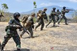 Sejumlah prajurit Korps Marinir TNI AL dan Marinir Amerika melaksanakan latihan Gerakan Maju Untuk Kontak (GMUK) dan Serangan di Pusat Latihan Pertempuran Korps Marinir 5 Baluran, Situbondo, Jawa Timur. Sabtu (10/8/2019). Kegiatan tersebut merupakan salah satu materi yang dilatihkan dalam Latihan Bersama Platoon Exchange (Platex) tahun 2019 yang bertujuan meningkatkan profesionalisme prajurit Marinir kedua Negara. Antara Jatim/Serka Mar Kuwadi/zk.