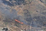 Kobaran api membakar hutan di Desa Ngindeng, Sawoo, Ponorogo, Jawa Timur, Sabtu (10/8/2019). Menurut warga sekitar, di wilayah tersebut sering terjadi kebakaran hutan dan lahan namun belum diketahui penyebabnya. Antara Jatim/Siswowidodo/zk.