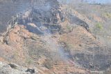 Kobaran api membakar hutan di Desa Ngindeng, Sawoo, Ponorogo, Jawa Timur, Sabtu (10/8/2019). Menurut warga sekitar, di wilayah tersebut sering terjadi kebakaran hutan dan lahan namun belum diketahui penyebabnya. Antara Jatim/Siswowidodo/zk.
