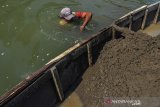 Penambang tradisional menyelam untuk mengambil pasir di Sungai Citanduy, Kota  Banjar, Jawa Barat, Jumat (9/8/2019). Saat musim kemarau panjang berkah bagi penambang pasir karena debit air Sungai Citanduy menyusu dan mampu menambang 10-12 meter kubik pasir per hari dengan upah yang diperoleh sebesar Rp50 ribu per kubik. ANTARA JABAR/Adeng Bustomi/agr