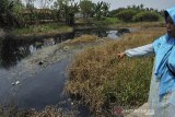 PENCEMARAN SUNGAI CIDURIAN. Warga menunjukkan aliran Sungai Cidurian yang berubah warna menjadi hitam dan mengeluarkan bau menyengat akibat tercemar limbah di Pontang, Serang, Banten, Sabtu (10/8/2019). Warga setempat sudah berulang kali mengadukan penemaran di Sungai Cidurian karena terganggu bau busuk namun tidak ada tanggapan serius dari Pemda setempat untuk menangani masalah tersebut. ANTARA FOTO/Asep Fathulrahman/ANTARA FOTO/ASEP FATHULRAHMAN (ANTARA FOTO/ASEP FATHULRAHMAN)