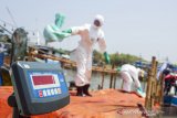 Petugas mengumpulkan karung berisi tumpahan minyak mentah yang tercecer di Laut Jawa, Pasirputih, Cilamaya Kulon, Karawang, Jawa Barat, Senin (12/8/2019). Pertamina terus berupaya maksimal menangani tumpahan minyak mentah dengan menerjunkan berbagai peralatan dan metode sesuai standar di industri migas seperti Static Oil Boom untuk menahan penyebaran, Giant Octopus Skimmer untuk menyedot minyak mentah berkecepatan sekitar 250 ribu liter per jam dan bekerjasama dengan masyarakat untuk mengurangi potensi minyak mentah terbawa arus sampai ke pesisir pantai. ANTARA JABAR/M Ibnu Chazar/agr