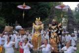 Umat Hindu membawa benda-benda sakral dalam tradisi Mapeed di Pura Alas Kedaton, Tabanan, Bali, Selasa (13/8/2019). Tradisi yang digelar setiap enam bulan sekali tersebut merupakan rangkaian upacara persembahyangan di pura yang terletak di dalam areal obyek wisata Alas Kedaton. ANTARA FOTO/Nyoman Hendra Wibowo/nym.