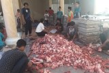 Ponpes Riyadus Sholihin bagikan 1.700 daging kurban