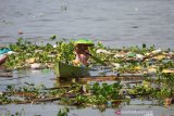 Warga mendayung jukung melintasi sampah sungai di Sungai Martapura Banjarmasin, Kalimantan Selatan, Rabu (14/8/2019).Sampah dan gulma eceng gondok memenuhi sungai martapura tersebut mengganggu transportasi sungai serta menimbulkan bau tidak sedap.Foto Antaranews Kalsel/Bayu Pratama S.