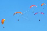 Atlet paralayang beratraksi di udara saat pembukaan Paragliding Accuracy Asian Cup 2019 di Pantai Pandawa, Badung, Bali, Jumat (16/8/2019). Kejuaraan paralayang yang menggunakan sistem penilaian ketepatan mendarat tersebut digelar pada 16-18 Agustus 2019 yang diikuti 107 peserta dari Indonesia, India, Korea, Singapura dan Rumania. ANTARA FOTO/Nyoman Hendra Wibowo/nym.