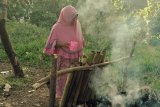 Tradisi buat lemang di Minang makin ditinggal