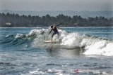 Wisatawan berselancar di Pantai Batu Karas, Cijulang, Kabupaten Pangandaran, Jawa Barat, Rabu (21/8/2019). Wisatawan mancanegara sering kali mengunjungi Pantai Batu Karas untuk bermain selancar karena kawasan tersebut memiliki pantai yang cukup datar dengan teluk kecil sehingga peselancar tidak perlu mendayung terlalu jauh untuk mencapai titik awal gelombang datang. ANTARA JABAR/Adeng Bustomi/agr