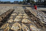 Perajin menjemur ikan asin jambal roti di Lapang Katapang Doyong, Kabupaten Pangandaran, Jawa Barat, Sabtu (24/8/2019). Perajin mampu memproduksi ikan asin jambal roti sebanyak satu kuintal dengan harga Rp 100 ribu hingga Rp 150 ribu per kilogram yang dipasarkan keberbagai daerah di Jawa Tengah dan Jabar. ANTARA JABAR/Adeng Bustomi/agr