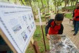 Petugas menunjukkan madu kelulut langsung di tempat budidaya madu kalulut di Taman Hutan Raya Mandiangin, Kabupaten Banjar, Kalimantan Selatan, Minggu (25/8/2019).Taman hutan raya (Tahura) Mandiangan menawarkan berbagai macam wisata alam seperti pemandangan indah, budidaya madu kalulut,flora dan fauna, dan lokasi swafoto.Foto Antaranews Kalsel/Bayu Pratama S.