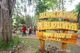 Budidaya madu kelulut di Taman Hutan Raya Mandiangin, Kabupaten Banjar, Kalimantan Selatan, Minggu (25/8/2019).Taman hutan raya (Tahura) Mandiangan menawarkan berbagai macam wisata alam seperti pemandangan indah, budidaya madu kalulut,flora dan fauna, dan lokasi swafoto.Foto Antaranews Kalsel/Bayu Pratama S.