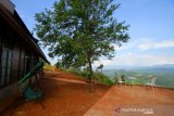 Pemandangan pegunungan meratus yang terlihat dari puncak Taman Hutan Raya Mandiangin, Kabupaten Banjar, Kalimantan Selatan, Minggu (25/8/2019).Tahura Sultam Adam Mandiangin menawarkan berbagai macam wisata alam seperti pemandangan indah, budidaya madu kalulut,flora dan fauna, dan lokasi swafoto.Foto Antaranews Kalsel/Bayu Pratama S.