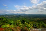 Pemandangan pegunungan meratus yang terlihat dari puncak Taman Hutan Raya Mandiangin, Kabupaten Banjar, Kalimantan Selatan, Minggu (25/8/2019).Tahura Sultam Adam Mandiangin menawarkan berbagai macam wisata alam seperti pemandangan indah, budidaya madu kalulut,flora dan fauna, dan lokasi swafoto.Foto Antaranews Kalsel/Bayu Pratama S.