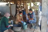 DPKP Gunung Kidul: 10 warga Gedangsari diduga terpapar antraks