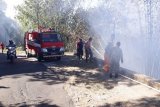 Satu hektare pesisir Danau Tondano terbakar
