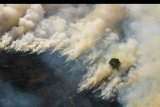 Foto udara kebakaran hutan dan lahan di Kabupaten Tapin, Kalimantan Selatan, Kamis (29/8/2019). Berdasarkan data Badan Penanggulangan Bencana Daerah (BPBD) Provinsi Kalsel hutan dan lahan yang terbakar dari bulan Januari hingga Agustus 2019 mencapai lebih dari 1.832 hektare dan masih terus meluas. ANTARA FOTO/Bayu Pratama S/nym.