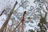 Korban meninggal tersengat listrik di atas pohon dievakuasi