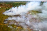 Foto udara api membakar semak belukar ketika terjadi kebakaran hutan dan lahan di Kabupaten Banjar, Kalimantan Selatan, Kamis (29/8/2019).Berdasarkan data Badan Penanggulangan Bencana Daerah (BPBD) Provinsi Kalsel kebakaran hutan dan lahan dari bulan Januari hingga Agustus 2019 luasnya lebih dari 1.832 hektare dan kini masih terus meluas.Foto Antaranews Kalsel/Bayu Pratama S.