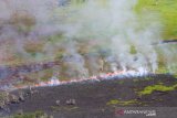 Foto udara api membakar semak belukar ketika terjadi kebakaran hutan dan lahan di Kabupaten Hulu Sungai Selatan, Kalimantan Selatan, Kamis (29/8/2019).Berdasarkan data Badan Penanggulangan Bencana Daerah (BPBD) Provinsi Kalsel kebakaran hutan dan lahan dari bulan Januari hingga Agustus 2019 luasnya lebih dari 1.832 hektare dan kini masih terus meluas.Foto Antaranews Kalsel/Bayu Pratama S.