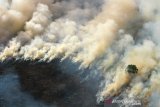 Foto udara api membakar semak belukar ketika terjadi kebakaran hutan dan lahan di Kabupaten Tapin, Kalimantan Selatan, Kamis (29/8/2019).Berdasarkan data Badan Penanggulangan Bencana Daerah (BPBD) Provinsi Kalsel kebakaran hutan dan lahan dari bulan Januari hingga Agustus 2019 luasnya lebih dari 1.832 hektare dan kini masih terus meluas.Foto Antaranews Kalsel/Bayu Pratama S.