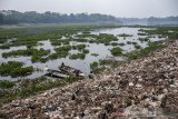 Warga mencari ikan di antara tanaman Eceng pada permukaan Sungai Citarum di kawasan Cihampelas, Kabupaten Bandung Barat, Jawa Barat, Kamis (29/8/2019). Sekitar 120 meter kubik keberadaan tanaman eceng yang bercampur dengan sampah plastik dan limbah rumah tangga terus diangkut perharinya dari aliran Sungai Citarum karena dianggap menjadi salah satu penyebab pendangkalan dan merusak kualitas air sungai Citarum tersebut. ANTARA JABAR/Novrian Arbi/agr