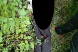 Pedagang es tebu menemukan mayat pria dengan tangan kaki terikat lakban