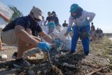 Pemerhati lingkungan, bersama para kadet Angkatan Laut Chili, memungut sampah plastik dalam aksi bersih pantai di kawasan Pantai Mertasari, Denpasar, Bali, Jumat (30/8/2019). Kegiatan yang digelar Kementerian Koordinator Bidang Kemaritiman tersebut diikuti berbagai komponen, antara lain pemerhati lingkungan dan Angkatan Laut Chili untuk menindaklanjuti kerjasama antara Indonesia dan Chili dalam bidang kelautan dan perubahan iklim. ANTARA FOTO/Nyoman Hendra Wibowo/nym.