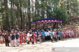 Pemprov Yogyakarta gali potensi wisata budaya Dlingo di Mangunan