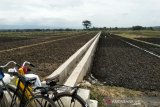 Petani Kulon Progo mengharapkan bantuan traktor roda empat