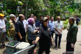 Menteri Lingkungan Hidup dan Kehutanan Siti Nurbaya Bakar (kelima kiri) didampingi Gubernur Kalbar Sutarmidji (kanan) meninjau lokasi penyerahan sertifikat Tanah Objek Reformasi Agraria (TORA) di kawasan hutan lindung Universitas Tanjungpura di Pontianak, Kalimantan Barat, Minggu (1/9/2019). Siti Nurbaya Bakar menyatakan Presiden Joko Widodo dijadwalkan akan menyerahkan sertifikat TORA kepada masyarakat di lokasi tersebut pada Kamis (5/9/2019) mendatang. ANTARA FOTO/Jessica Helena WuysangANTARA FOTO/JESSICA HELENA WUYSANG (ANTARA FOTO/JESSICA HELENA WUYSANG)