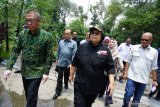 Menteri Lingkungan Hidup dan Kehutanan Siti Nurbaya Bakar (kedua kanan) didampingi Gubernur Kalbar Sutarmidji (kiri) meninjau lokasi penyerahan sertifikat Tanah Objek Reformasi Agraria (TORA) di kawasan hutan lindung Universitas Tanjungpura di Pontianak, Kalimantan Barat, Minggu (1/9/2019). Siti Nurbaya Bakar menyatakan Presiden Joko Widodo dijadwalkan akan menyerahkan sertifikat TORA kepada masyarakat di lokasi tersebut pada Kamis (5/9/2019) mendatang. ANTARA FOTO/Jessica Helena WuysangANTARA FOTO/JESSICA HELENA WUYSANG (ANTARA FOTO/JESSICA HELENA WUYSANG)