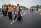 Analysis (TAA) Polda Jabar melakukan olah tkp kecelakaan beruntun yang menewaskan 8 orang di KM 91 Tol Cipularang, Kabupaten Purwakarta, Jawa Barat, Selasa (3/9/2019). Olah tkp tersebut dilakukan untuk mengetahui penyebab kecelakaan beruntun pada Senin (2/9/2019). ANTARA FOTO/Raisan Al Farisi/agr