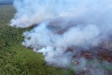 Asap mengepul dari lahan gambut yang terbakar di desa penyangga Taman Nasional Berbak dan Sembilang (TNBS), Simpang, Berbak, Tanjungjabung Timur, Jambi, Kamis (5/9/2019). Warga setempat menyebutkan, lahan yang terbakar tersebut beberapa hari sebelumnya sempat dipadamkan petugas, namun kembali terbakar dan mengancam lahan masyarakat di sekitar kawasan. ANTARA FOTO/Wahdi Septiawan/ama.