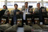 Kasat Narkoba Polresta Banda Aceh AKP Boby Putra Ramadan Sebayang (dua kanan) bersama personil mempelihatkan barang bukti ganja dengan menggunakan kemasan bubuk kopi di Banda Aceh, Aceh, Jumat (6/9/2019). Satuan Reserse Narkoba Polresta Banda Aceh menggagalkan pengiriman 10 kilogram ganja yang menggunakan kemasan bubuk kopi tujuan Sukabumi, Jawa Barat serta mengamankan seorang tersangka kurir berinisial AMR (51). Antara Aceh / Irwansyah Putra.