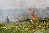 Personil Polri bersama petugas Manggala Agni berupaya memedamkan kebakaran lahan gambut di Desa Pengayuan, Kecamatan Lianggang Anggang, Banjarbaru, Kalimantan Selatan, Jumat (6/9/2019).Ratusan hektar lahan gambut di kawasan Liang Anggang terbakar hingga mendekati permukiman penduduk di wilayah setempat.Foto Antaranews Kalsel/Bayu Pratama S.