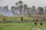 Personil Polri bersama petugas Manggala Agni berupaya memedamkan kebakaran lahan gambut di Desa Pengayuan, Kecamatan Lianggang Anggang, Banjarbaru, Kalimantan Selatan, Jumat (6/9/2019).Ratusan hektar lahan gambut di kawasan Liang Anggang terbakar hingga mendekati permukiman penduduk di wilayah setempat.Foto Antaranews Kalsel/Bayu Pratama S.