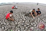 Pemerintah Provinsi NTT siapkan benih bantu petani gagal panen