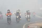 Sejumlah kendaraan bermotor melintas di jalan Ahmad Yani yang di selimuti kabut asap pekat di Landasan Ulin, Banjarbaru, Kalimantan Selatan, Rabu (11/9/2019).Kebakaran hutan dan lahan di sejumlah daerah Kalsel menimbulkan kabut asap yang menggangu aktivitas warga.Foto Antaranews Kalsel/Bayu Pratama S.