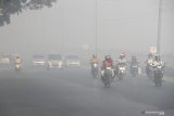 Walhi minta restorasi gambut dievaluasi menyusul karhutla masih terus berlanjut